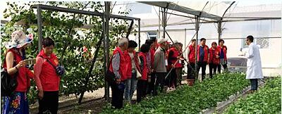 蔬菜種子，幾百萬(wàn)種植戶(hù)的選擇