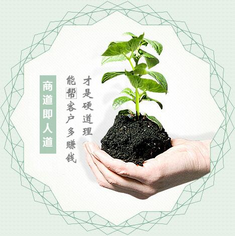 蔬菜種子經(jīng)營(yíng)，商道即人道