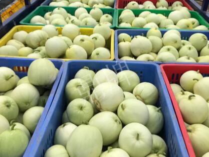 蔬菜種子種植戶客戶點評-5元1斤，這個新品種真香甜！