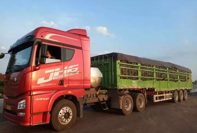 種南瓜竟然種出“麻煩”了，瓜販搶購(gòu)，電視臺(tái)記者也趕來了