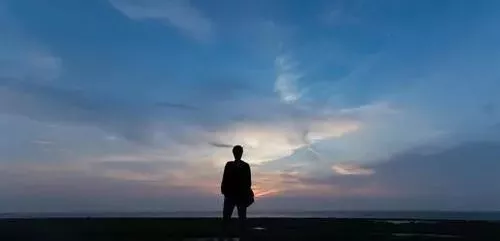 雇工難、成本高，想種甜瓜怎么辦？