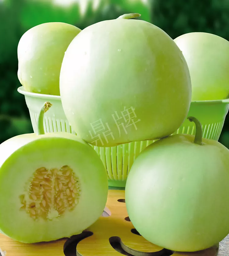 7元一斤還遭瘋搶，畝收益超2萬元！到底什么甜瓜能這么牛？