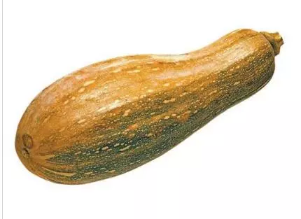 知道最甜最面的南瓜品種嗎？盤點十種有營養(yǎng)的甜面南瓜...