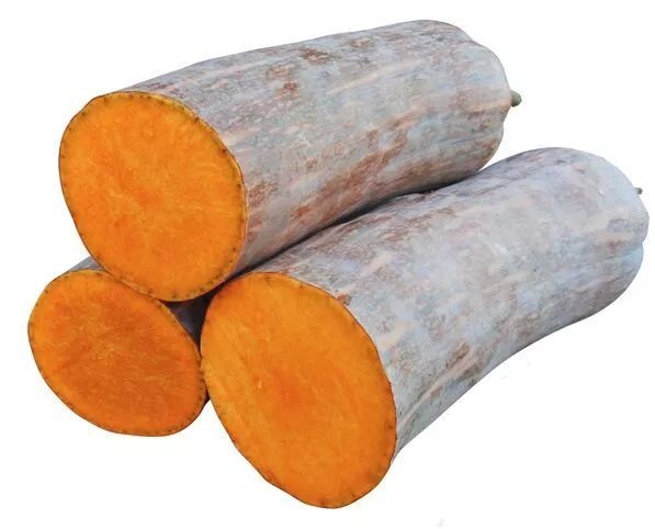 生吃都好吃南瓜新品種，沒有大肚子，肉質(zhì)更密致，農(nóng)戶試種下