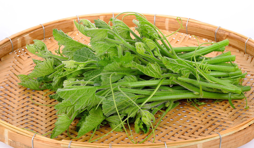 種這種綠葉菜，栽培輕松，畝產(chǎn)值過萬元，菜農(nóng)表示很劃算