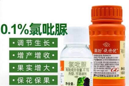 蔬菜種子栽培技術-<b>正確使用“氯吡脲”，瓜類增產30～50%</b>
