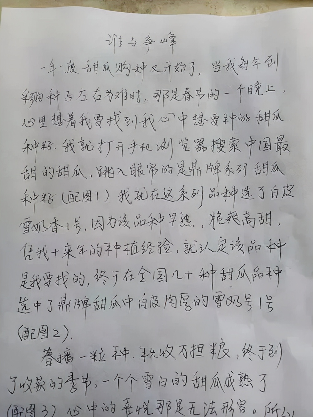 河南焦作的李向林今年種植甜瓜新品種，客戶直接拉貨走人