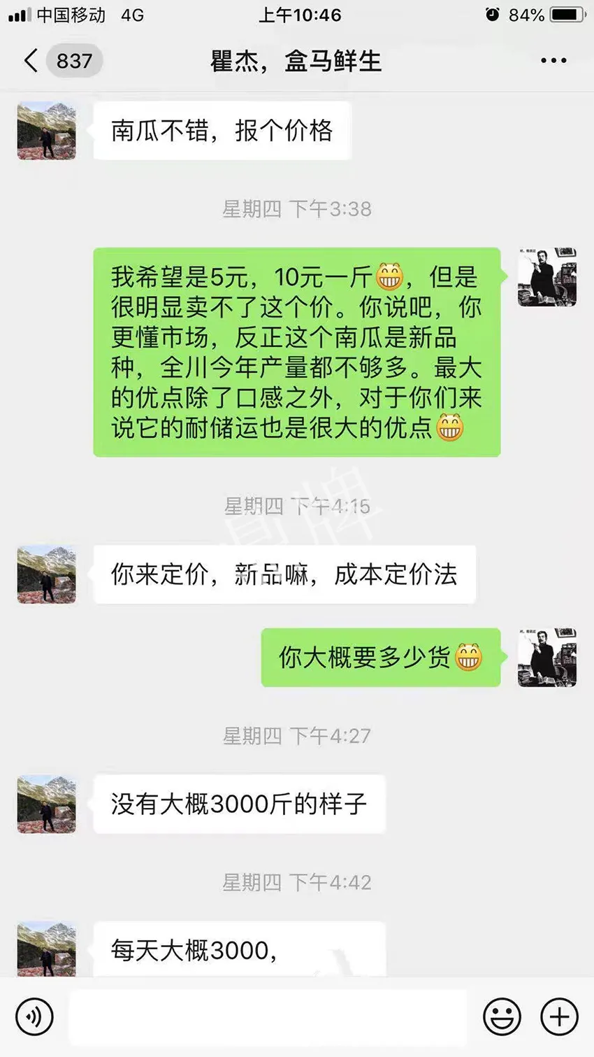 四川農(nóng)戶今年種“健美蜜本”南瓜產(chǎn)量高，品質(zhì)好，感覺巴適得很