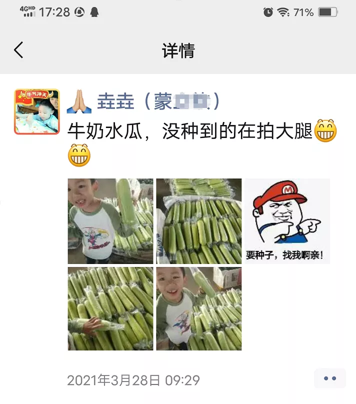 這個絲瓜每畝能掙3萬，沒種植的農(nóng)戶后悔得拍大腿