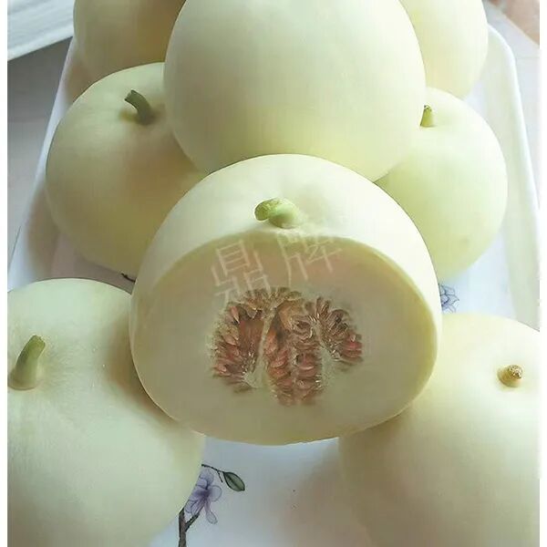 蔬菜種子種植戶(hù)種植心得-這個(gè)品種幫我留一些，4月份我們當(dāng)?shù)剡€要種一批